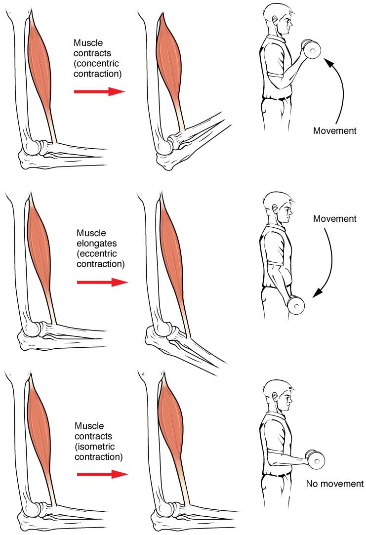 1015_Types_of_Contraction_new-web.jpg